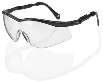 Added Beeswift BBCS Colorado Safety Specs Clear To Basket